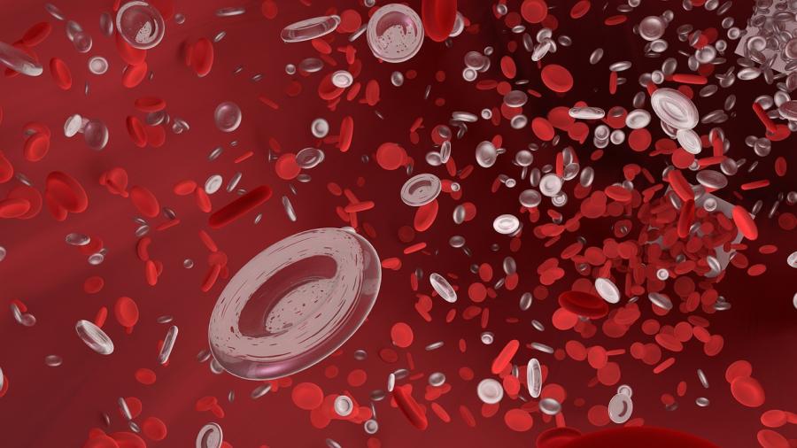 Hämophilie – ein Leben mit der Bluterkrankheit